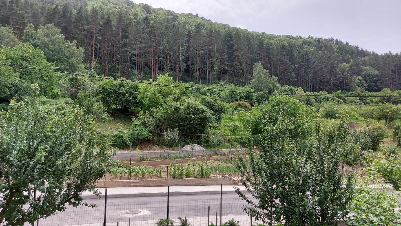 Forest Apartment Sapareva Banya Exterior foto